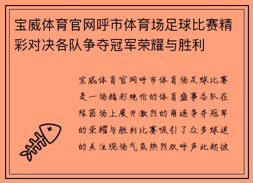 宝威体育官网呼市体育场足球比赛精彩对决各队争夺冠军荣耀与胜利